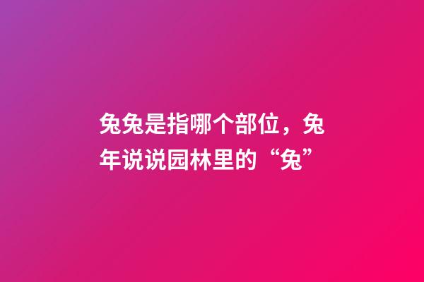 兔兔是指哪个部位，兔年说说园林里的“兔”-第1张-观点-玄机派