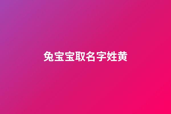 兔宝宝取名字姓黄(兔宝宝取名字姓黄女孩)-第1张-女孩起名-玄机派