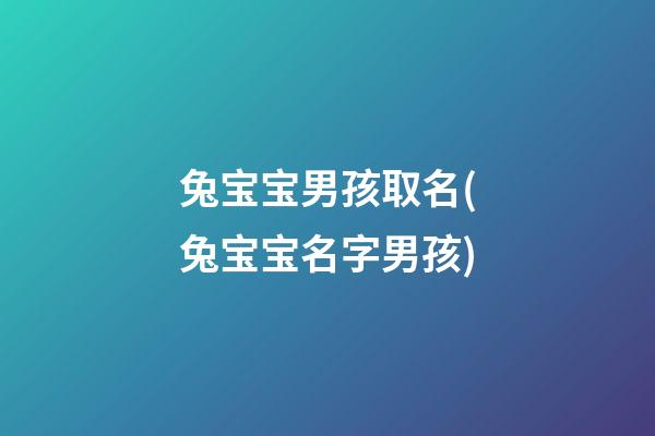 兔宝宝男孩取名(兔宝宝名字男孩)