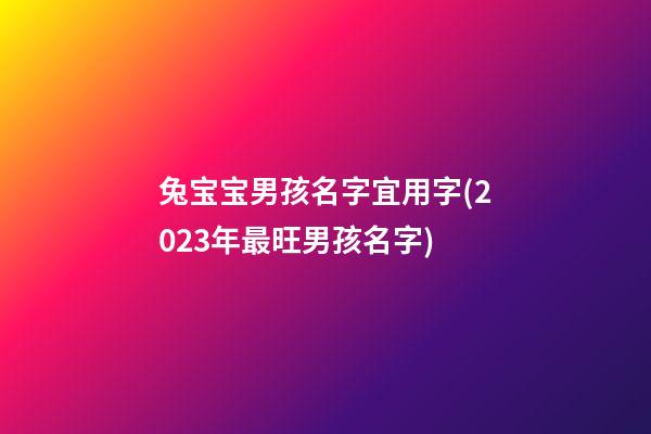 兔宝宝男孩名字宜用字(2023年最旺男孩名字)