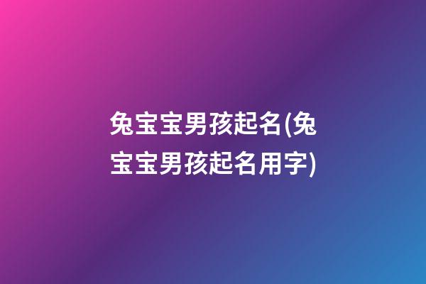 兔宝宝男孩起名(兔宝宝男孩起名用字)