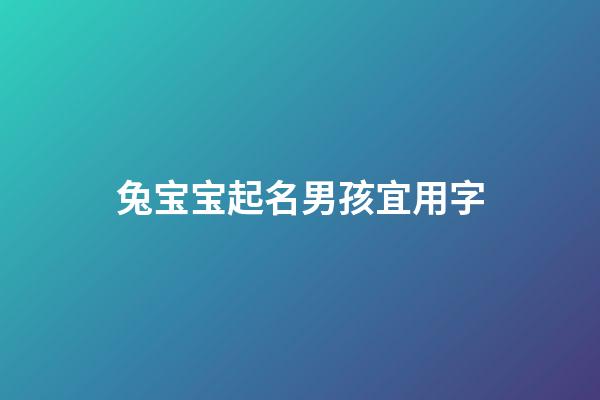 兔宝宝起名男孩宜用字(2023兔宝宝起名男孩宜用字)-第1张-男孩起名-玄机派