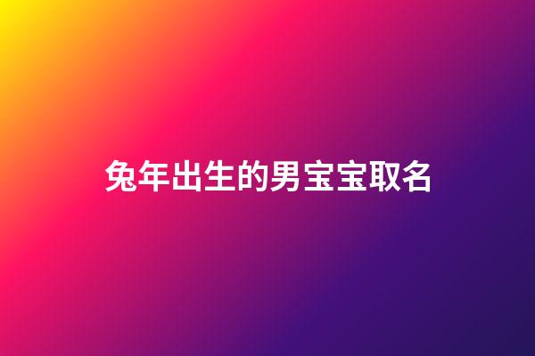 兔年出生的男宝宝取名(兔年出生的男宝宝取名草字头怎么取)-第1张-男孩起名-玄机派