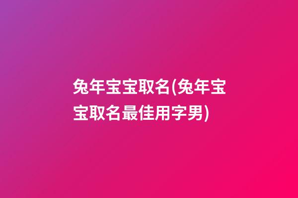 兔年宝宝取名(兔年宝宝取名最佳用字男)