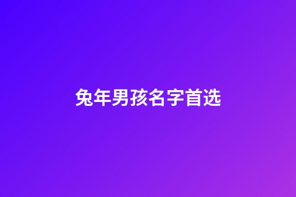 兔年男孩名字首选(2023年最旺男孩名字)-第1张-男孩起名-玄机派