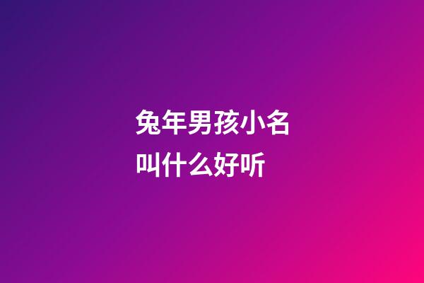 兔年男孩小名叫什么好听(兔年男孩小名叫什么好听点)-第1张-男孩起名-玄机派