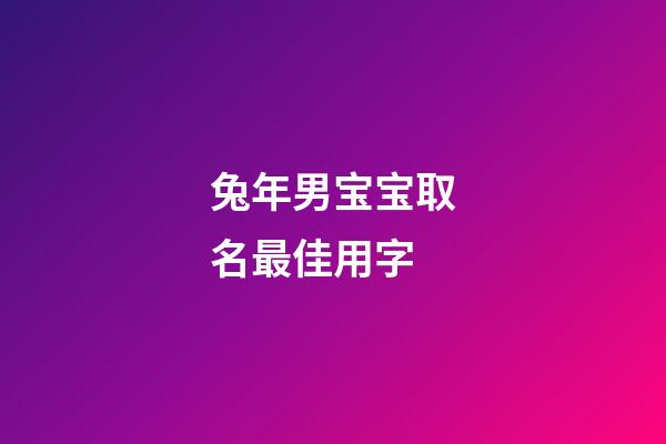 兔年男宝宝取名最佳用字(朱姓兔年男宝宝取名最佳用字)-第1张-男孩起名-玄机派