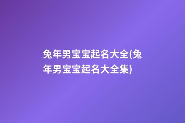 兔年男宝宝起名大全(兔年男宝宝起名大全集)