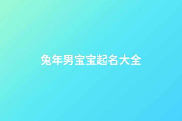 兔年男宝宝起名大全