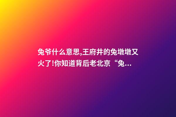 兔爷什么意思,王府井的兔墩墩又火了!你知道背后老北京“兔爷”的故事吗-第1张-观点-玄机派