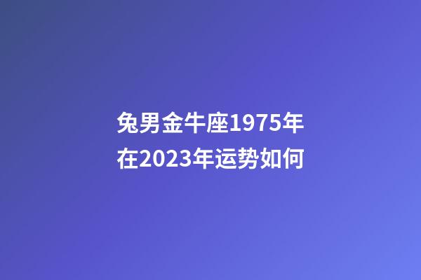 兔男金牛座1975年在2023年运势如何-第1张-星座运势-玄机派