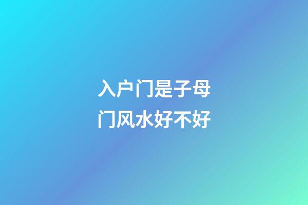 入户门是子母门风水好不好