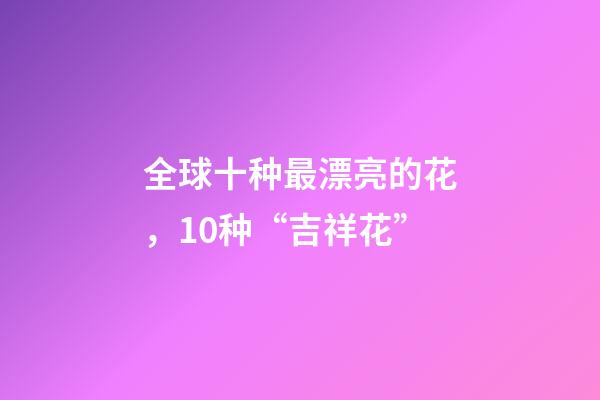 全球十种最漂亮的花，10种“吉祥花”-第1张-观点-玄机派