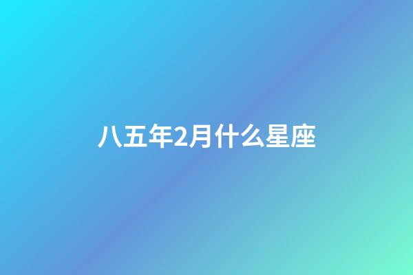 八五年2月什么星座-第1张-星座运势-玄机派