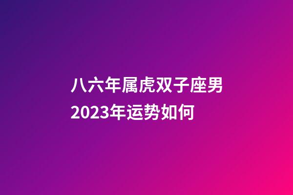 八六年属虎双子座男2023年运势如何-第1张-星座运势-玄机派