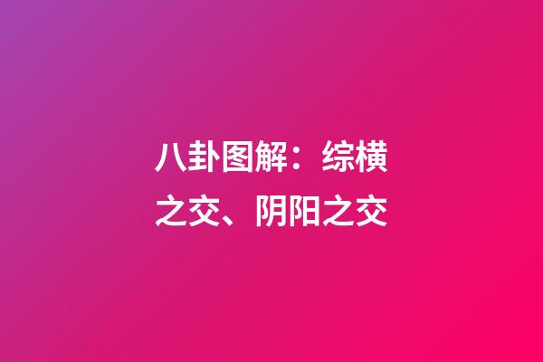 八卦图解：综横之交、阴阳之交