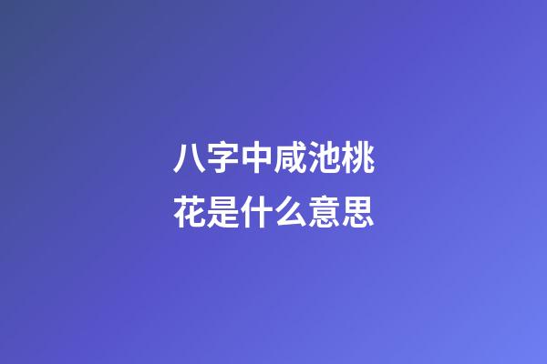 八字中咸池桃花是什么意思