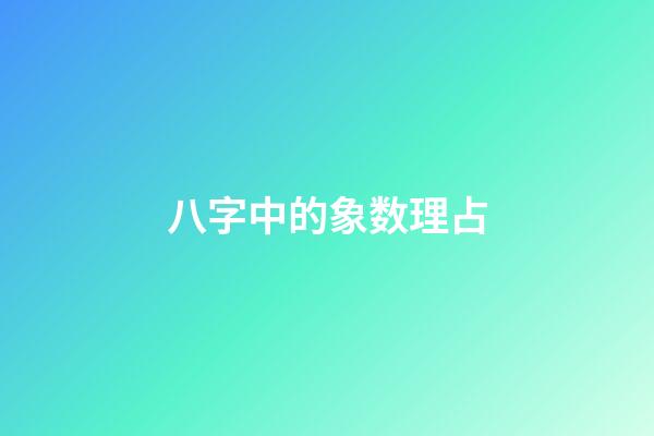 八字中的象数理占