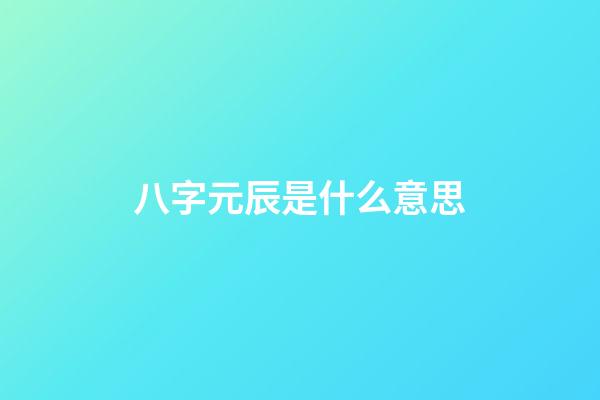 八字元辰是什么意思