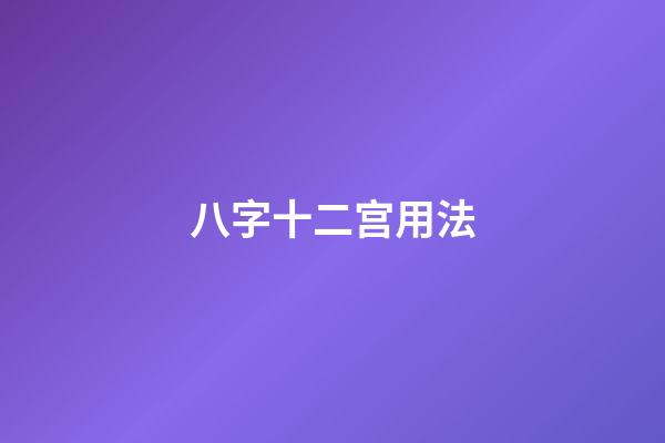 八字十二宫用法