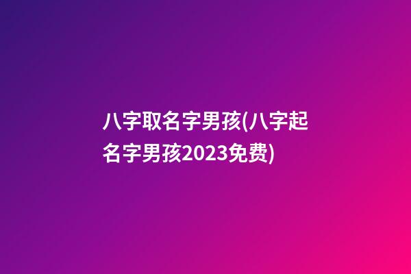 八字取名字男孩(八字起名字男孩2023免费)