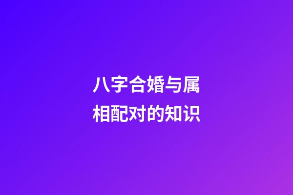 八字合婚与属相配对的知识