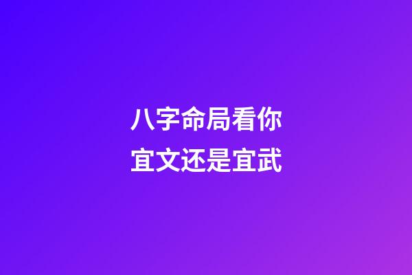 八字命局看你宜文还是宜武