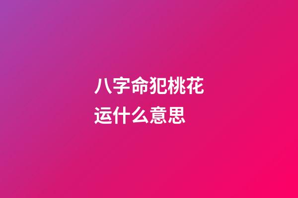 八字命犯桃花运什么意思