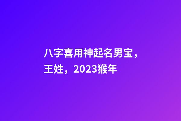 八字喜用神起名男宝，王姓，2023猴年