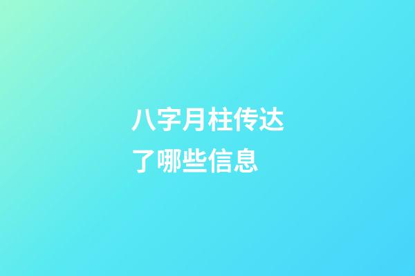 八字月柱传达了哪些信息