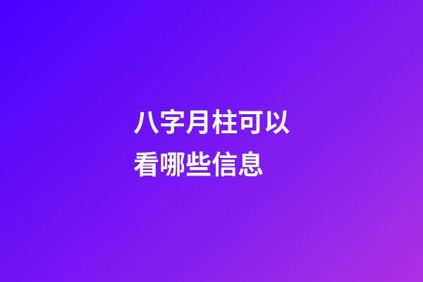 八字月柱可以看哪些信息