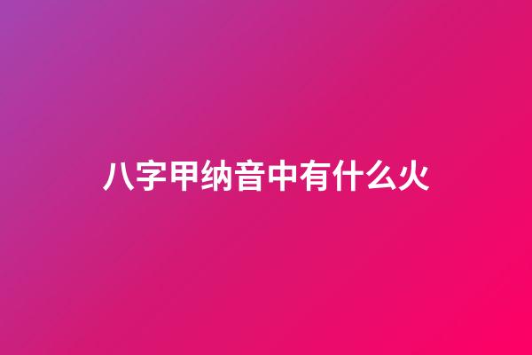 八字甲纳音中有什么火