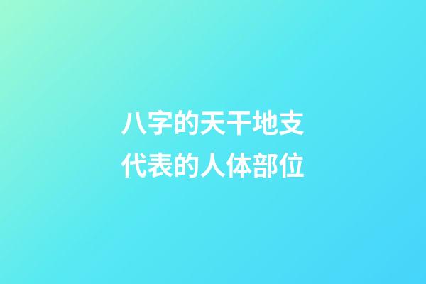 八字的天干地支代表的人体部位