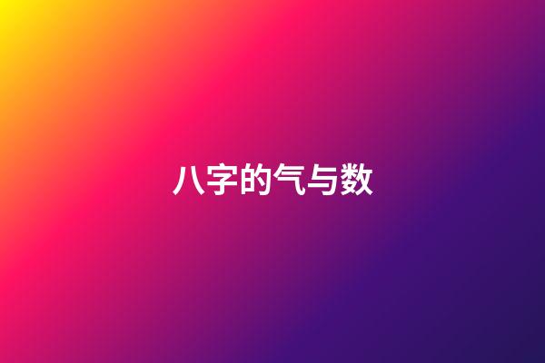 八字的气与数