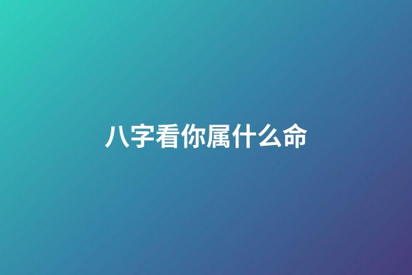 八字看你属什么命