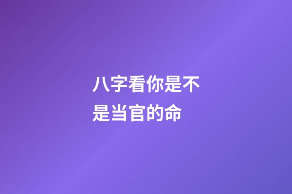 八字看你是不是当官的命