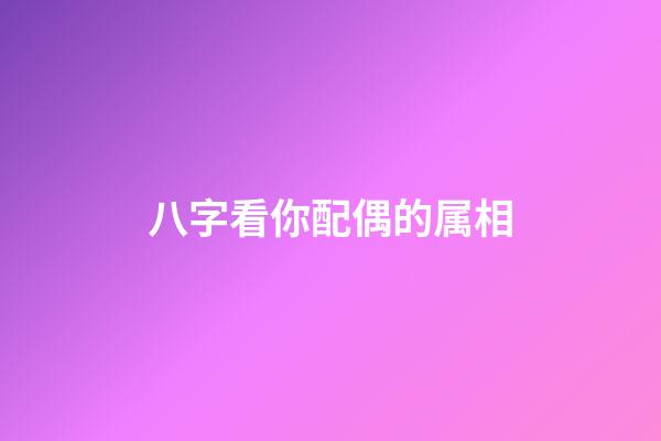 八字看你配偶的属相