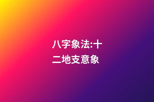 八字象法:十二地支意象