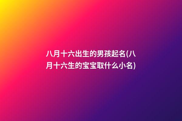 八月十六出生的男孩起名(八月十六生的宝宝取什么小名)
