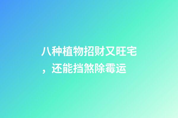 八种植物招财又旺宅，还能挡煞除霉运