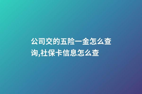 公司交的五险一金怎么查询,社保卡信息怎么查-第1张-观点-玄机派