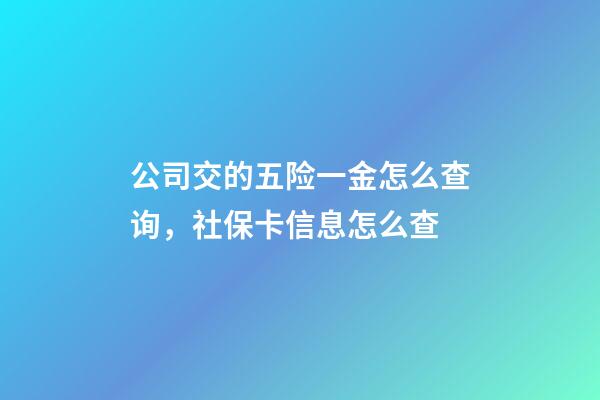 公司交的五险一金怎么查询，社保卡信息怎么查-第1张-观点-玄机派