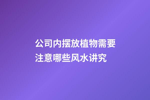 公司内摆放植物需要注意哪些风水讲究