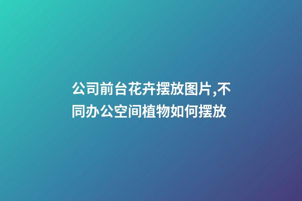 公司前台花卉摆放图片,不同办公空间植物如何摆放-第1张-观点-玄机派