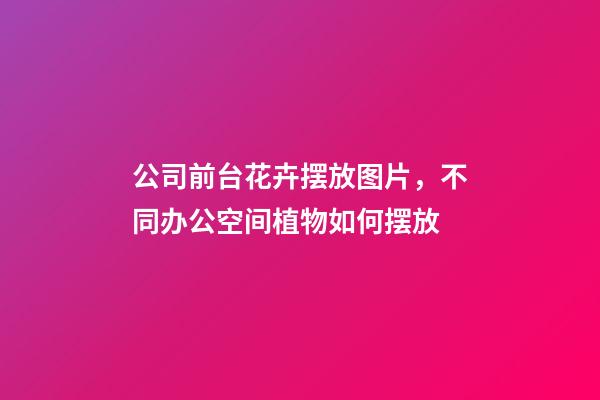 公司前台花卉摆放图片，不同办公空间植物如何摆放-第1张-观点-玄机派