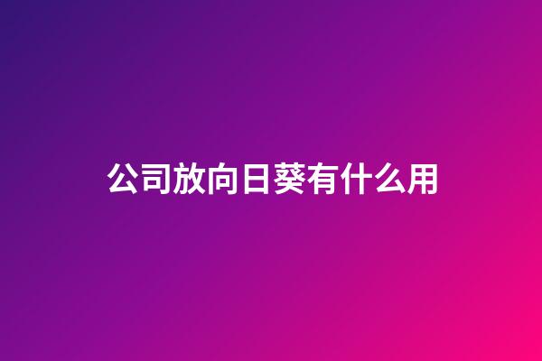 公司放向日葵有什么用