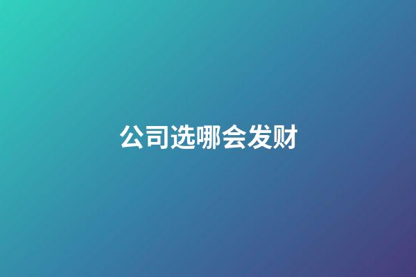 公司选哪会发财
