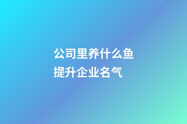 公司里养什么鱼提升企业名气