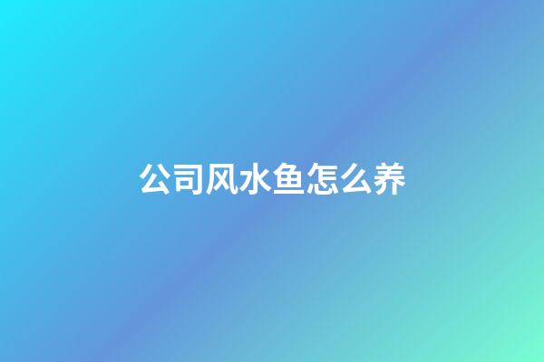 公司风水鱼怎么养