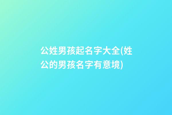 公姓男孩起名字大全(姓公的男孩名字有意境)
